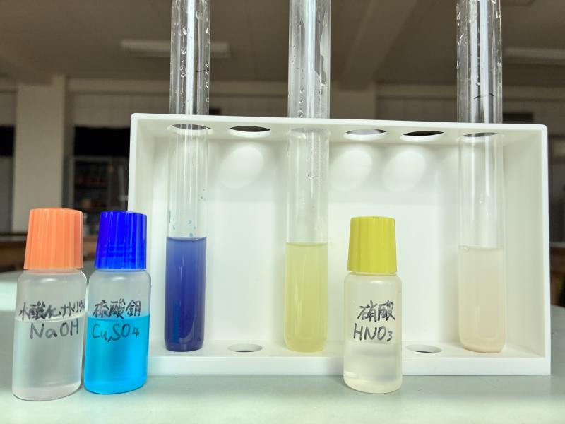 左からビウレット反応をさせたタンパク質溶液、キサントプロテイン反応させた溶液、何もしていないタンパク質溶液